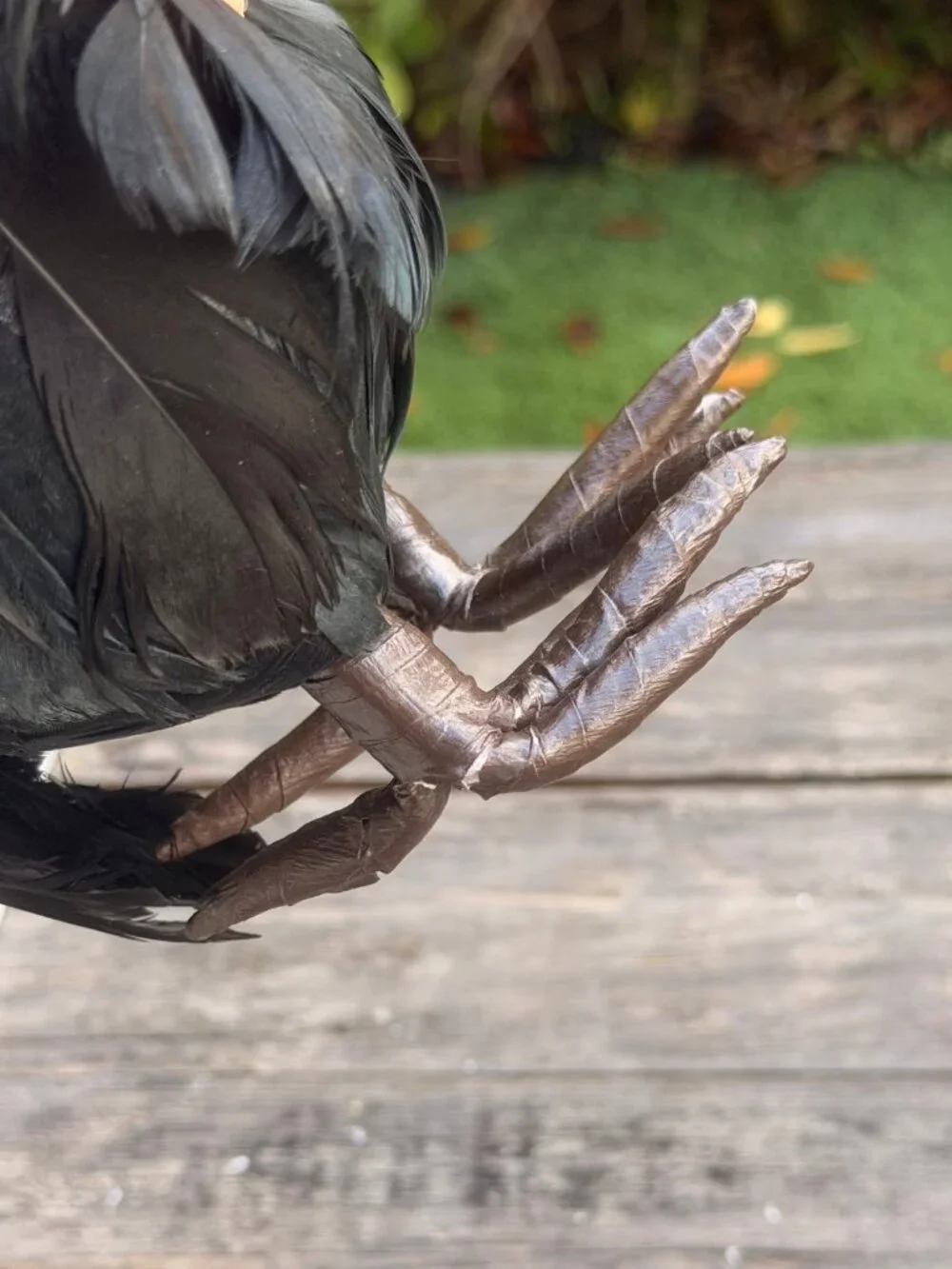 Vintage Paper Mache Primitive Halloween Vulture Sitter Fall Bird Buzzard Spooky